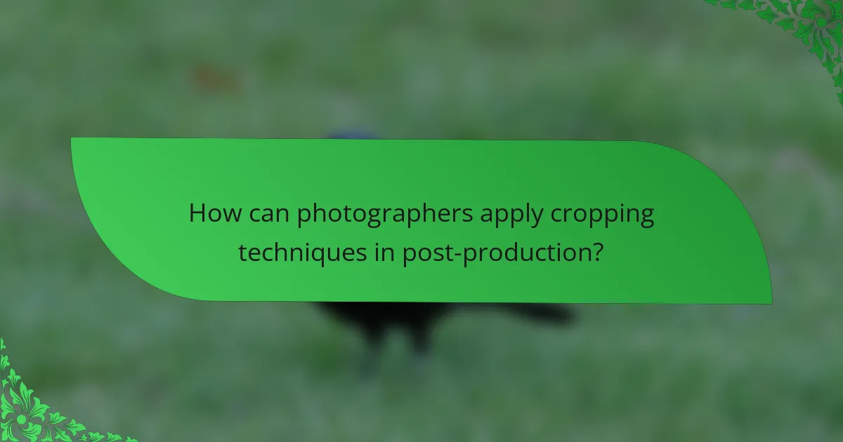How can photographers apply cropping techniques in post-production?